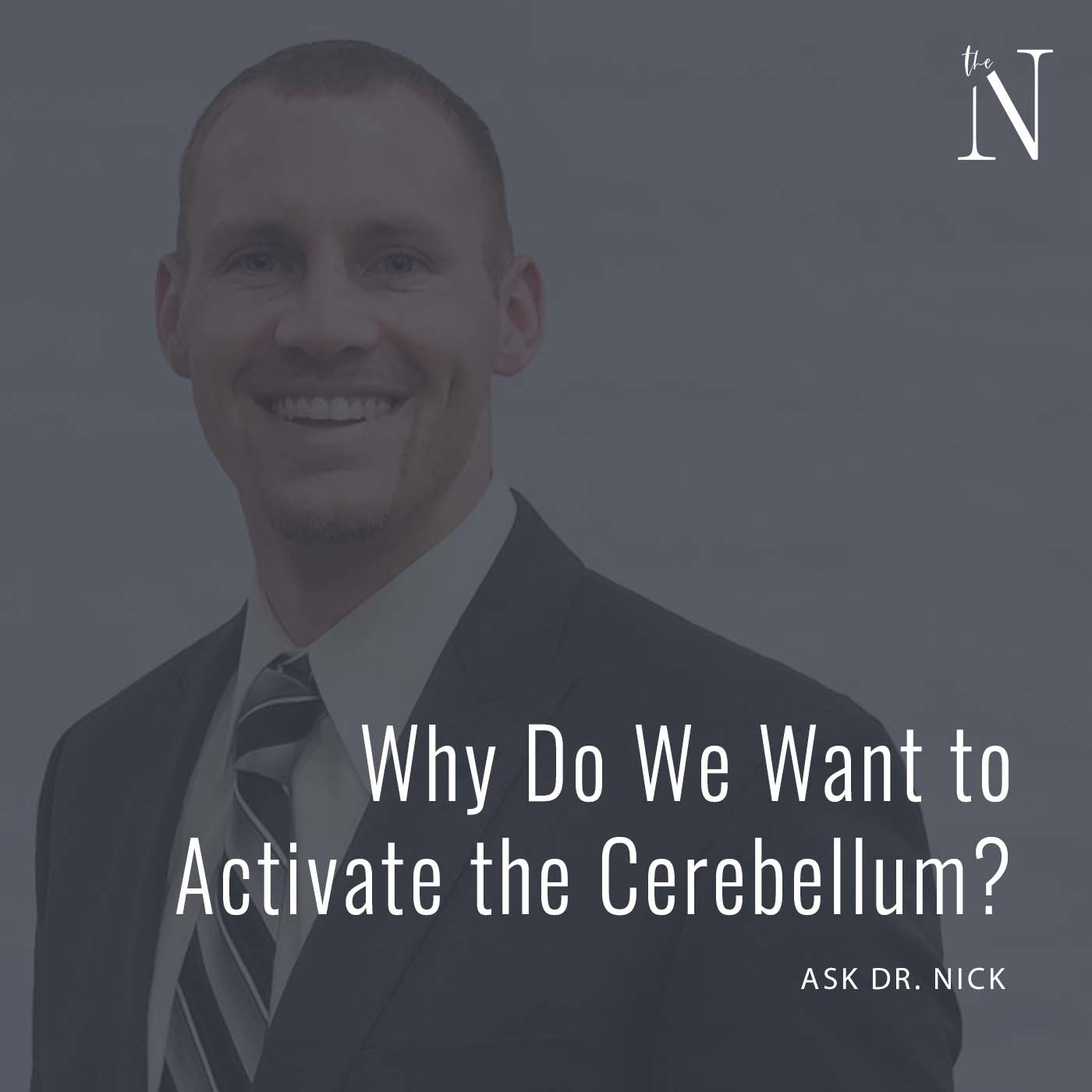 cerebellum
